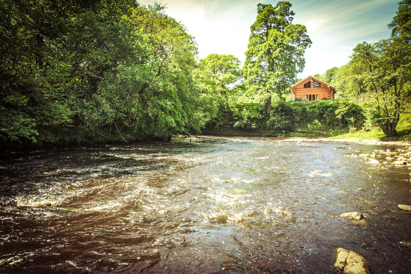 Roe-Deer-cabin - Romantic log cabin breaks