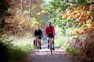 Bike Riding at Hidden River Cabins