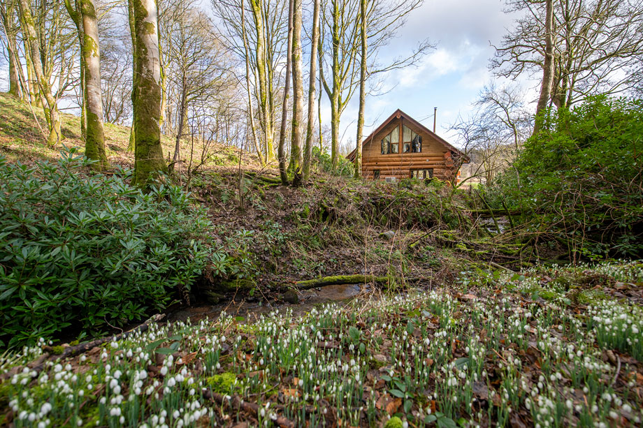 Hidden River Cabins_Snowdrop Cabin1